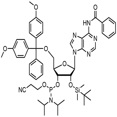 N-bentsoyyli-5'-O-(4,4-dimetoksitrityyli)-2'-O-[(tert-butyyli)dimetyylisilyyli]adenosiini-3'-(2-syaanietyyli-N,N-di-isopropyyli)fosforamidiitti